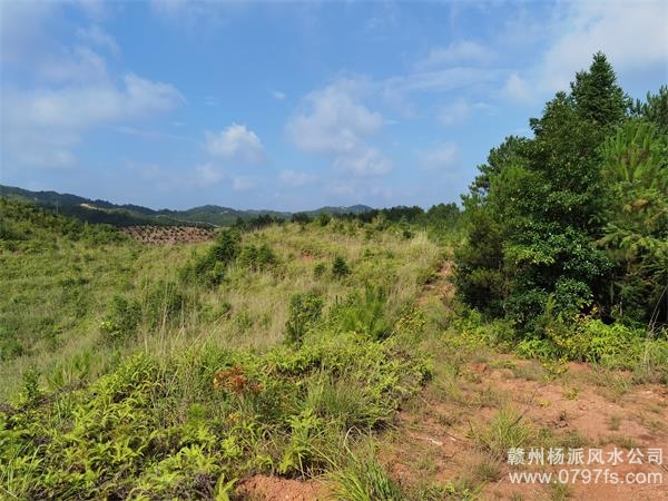 和田地区带着徒弟上山学杨公风水现场操作